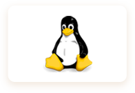 LinuxImage