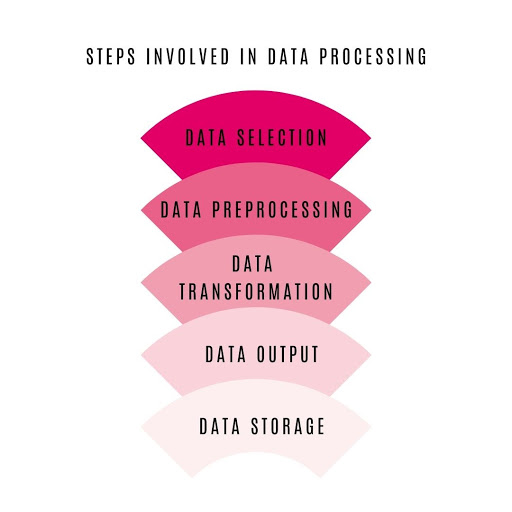 What are the steps involved in data processing