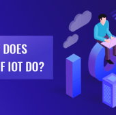 What Exactly Does Developers of The Internet Of Things Do?