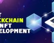 How to choose the best blockchain for NFT development 2022