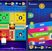 Connect and Conquer: The Ultimate Ludo Case Study